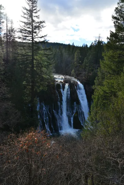 DSC_5918 (Large).JPG